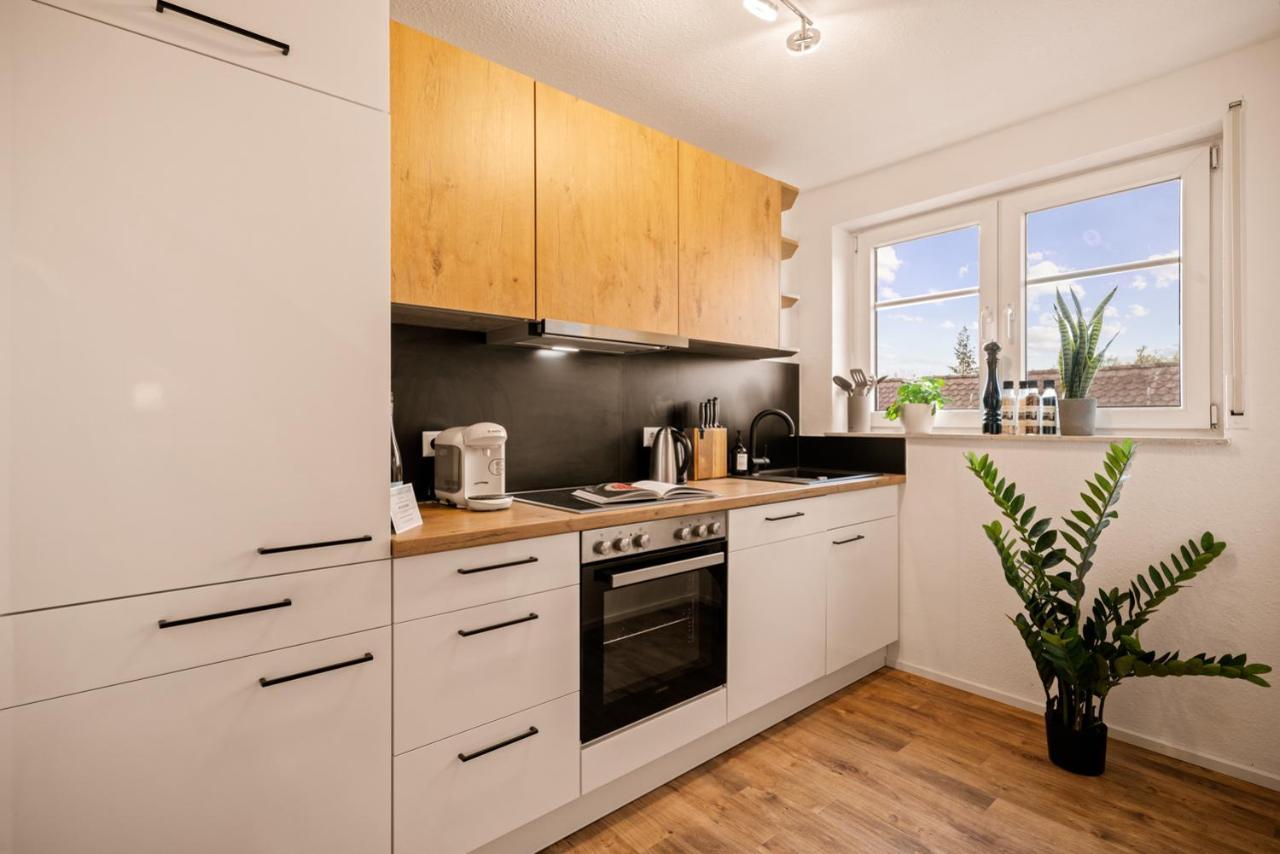 Ferien-apartment Riedperle Mit Privatstrandzugang Friedrichshafen