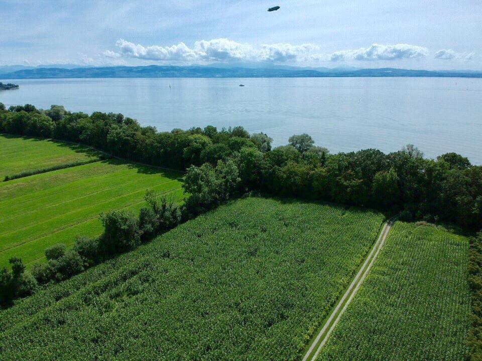 Ferien-apartment Riedperle Mit Privatstrandzugang * Friedrichshafen